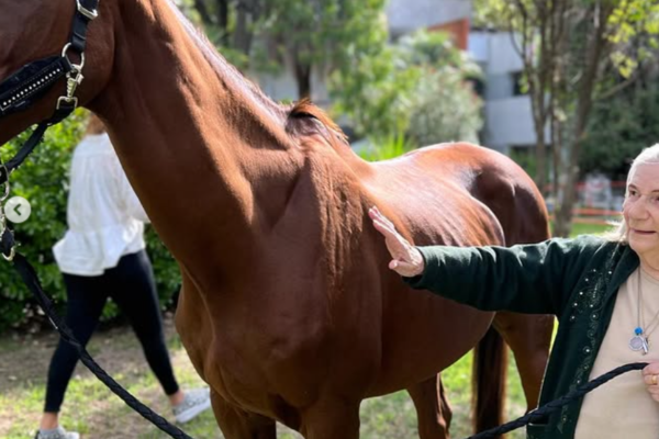 Captura de pantalla 2025-10-21 130415